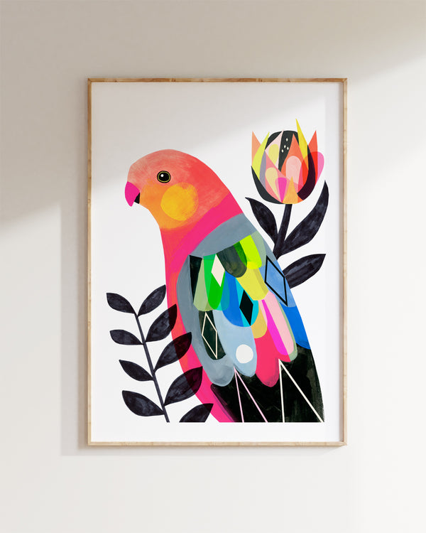 Australian King Parrot Fine Art Print