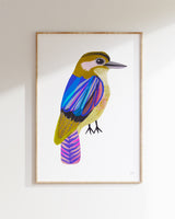 Blue Winged Kookaburra Fine Art Print