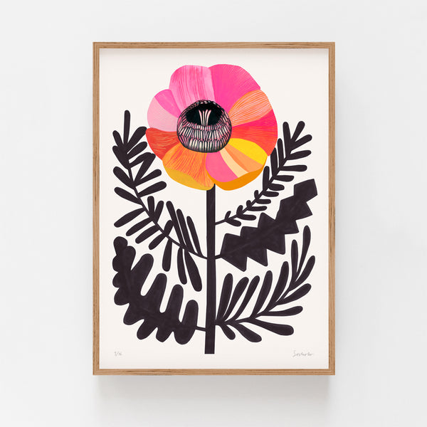 Camellia Botanical fine art Limited Edition Print