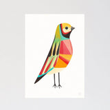 Gouldian Finch Art Print - inaluxe