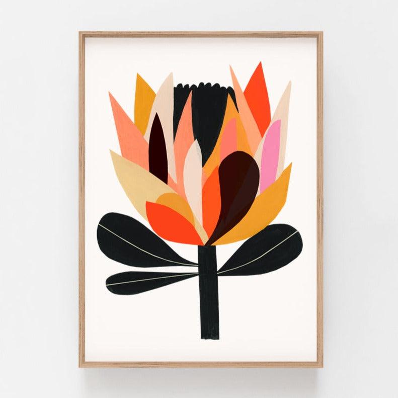 Waratah Bloom Art Print - inaluxe