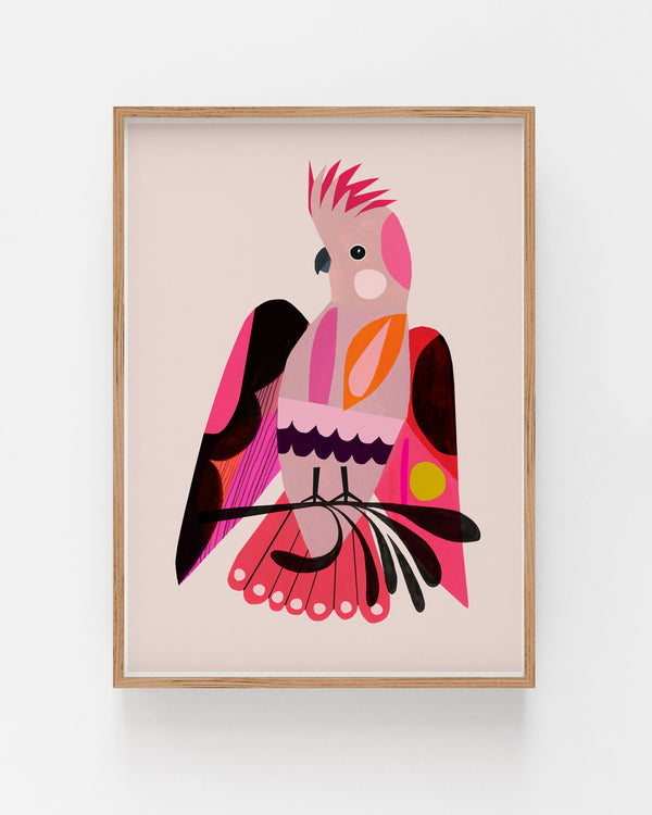 Major Mitchell Major Coolness Fine Art Print