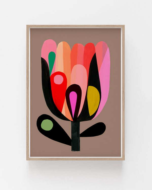 The November Protea Fine Art Print