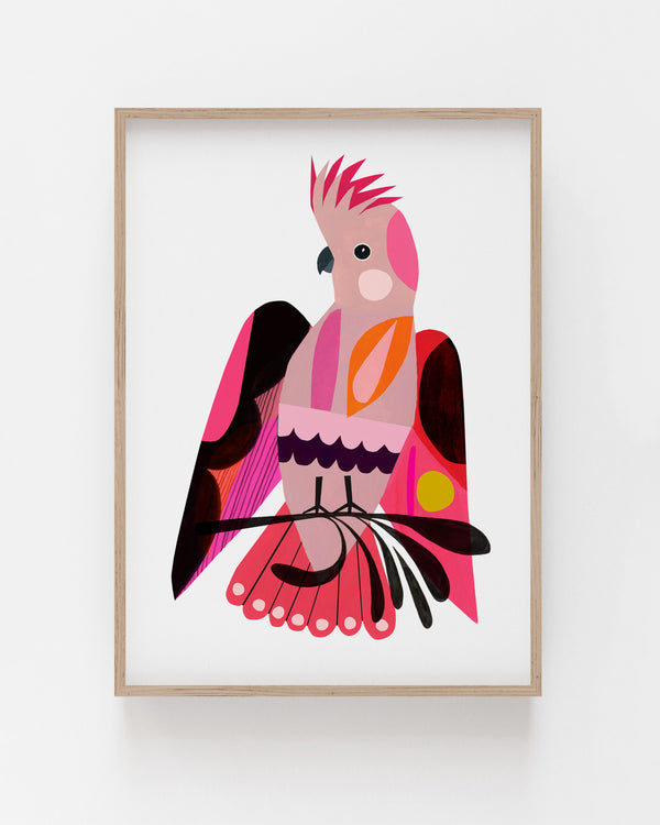 Major Mitchell Major Coolness Fine Art Print