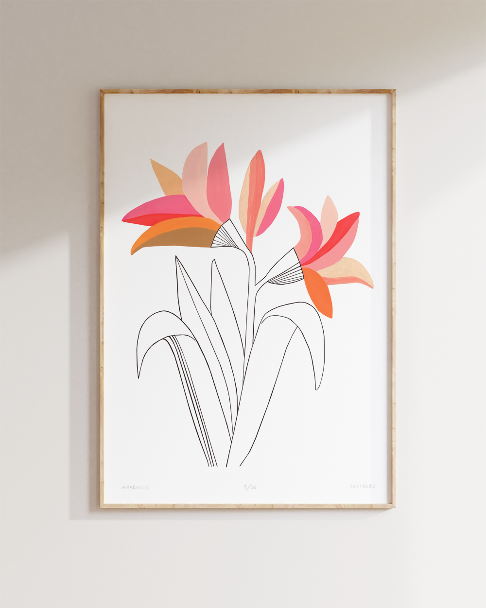 Amaryllis Fine Art Limited Edition