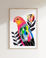 Australian King Parrot Fine Art Print