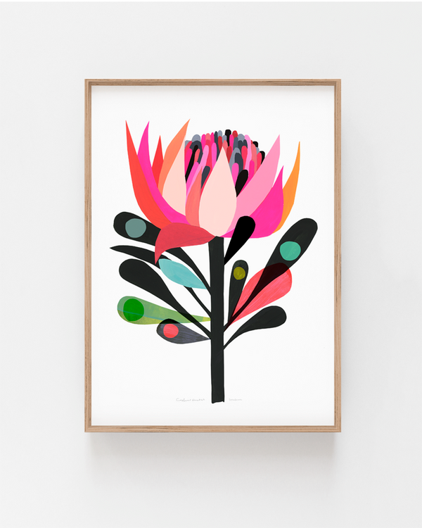 Cardinal Waratah Art Print