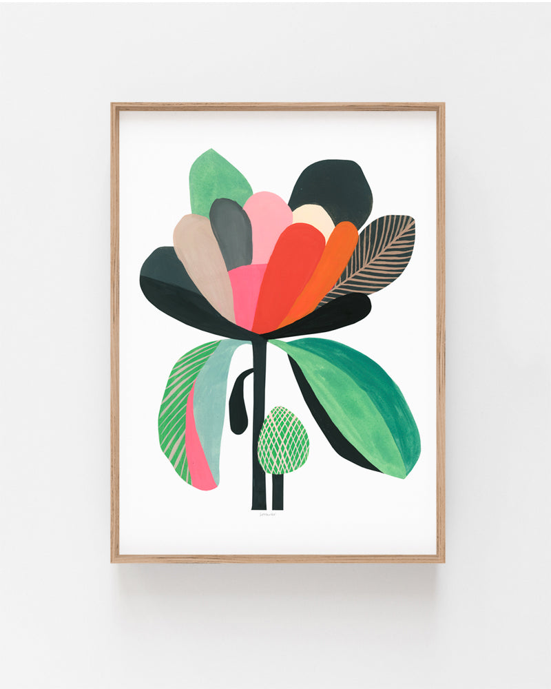 Magnolia Pod Fine Art Print