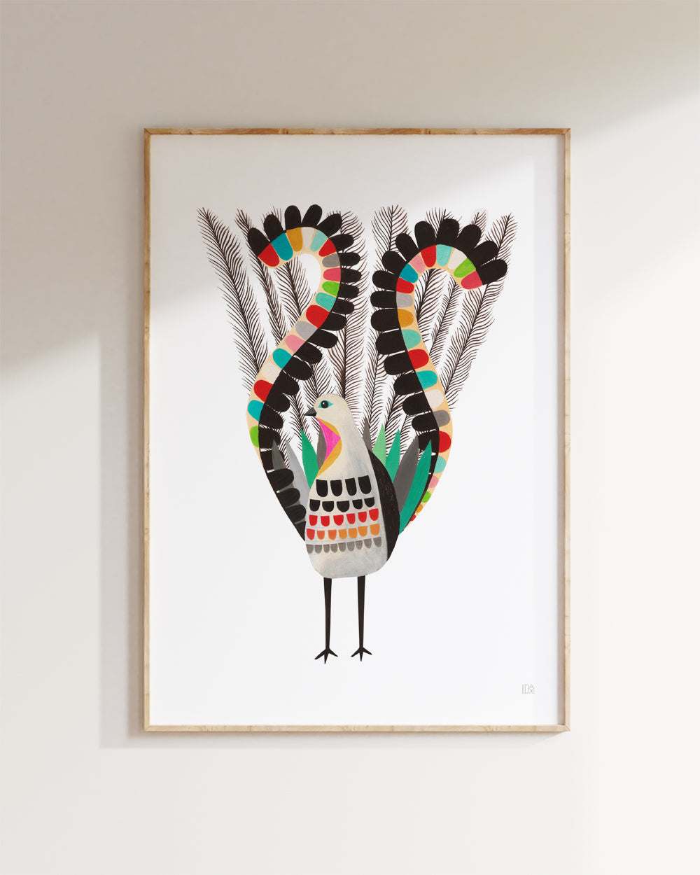 Superb Lyrebird Fine Art Print