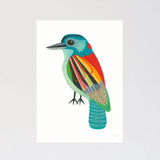 Laughing Kookaburra fine art print - inaluxe